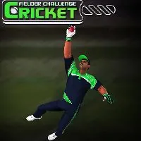 Cricket Fielder Challenge Game - Unblocked Games G+