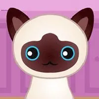 Guess The Kitty - Unblocked Games G+