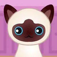 Guess The Kitty - Unblocked Games G+